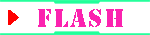 FLASH