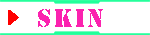 WINAMP SKIN